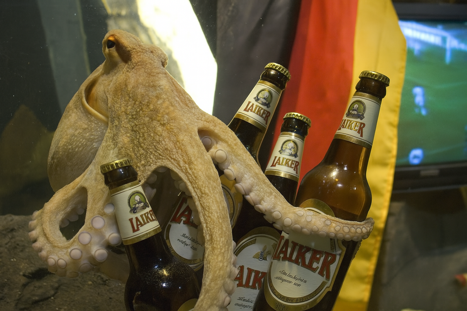 Paul enjoying a beer